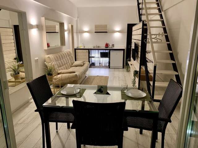 Апартаменты 2х-уровневые апартаменты с террасой в центре Витебска Витебск-8